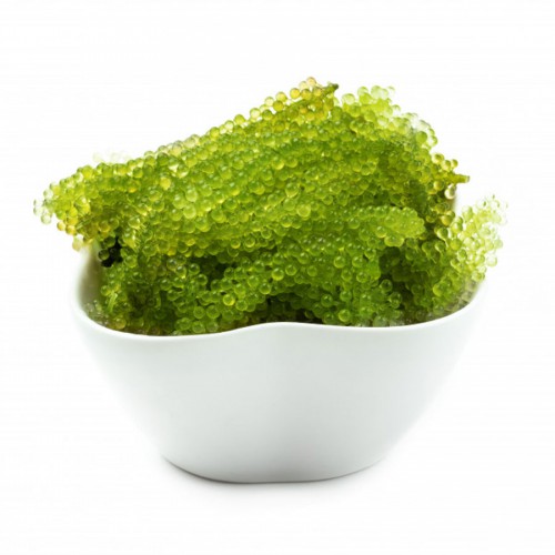 Austria Wakame frozen seaweed salad for sushi