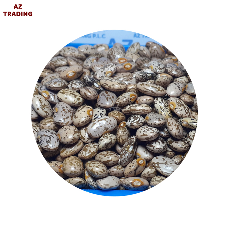 Прямая продажа с завода чистая красная засушенная фасоль Pinto Beans для оптовых покупателей