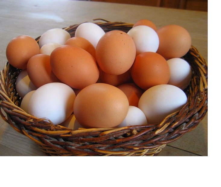 Белый/коричневый свежий стол куриные яйца/перепелиные яйца на продажу