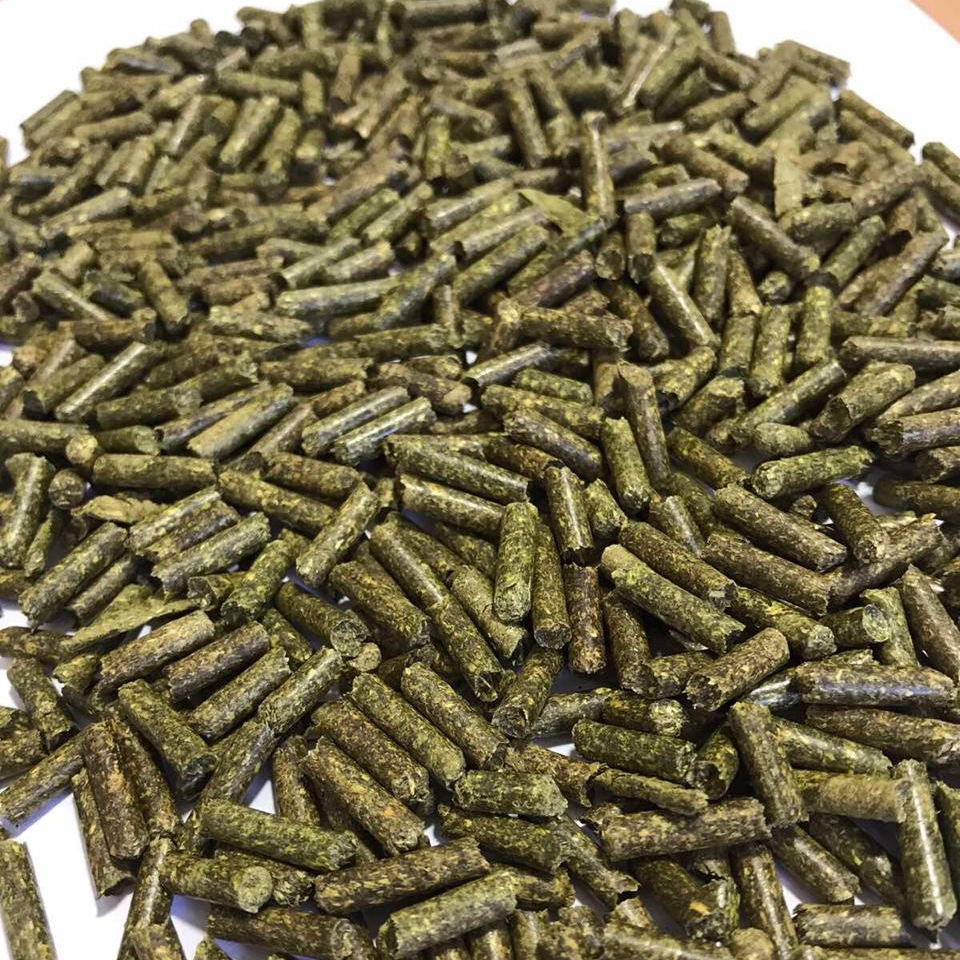 Top quality Alfalfa Pellets / Cubes for Animal Feeding