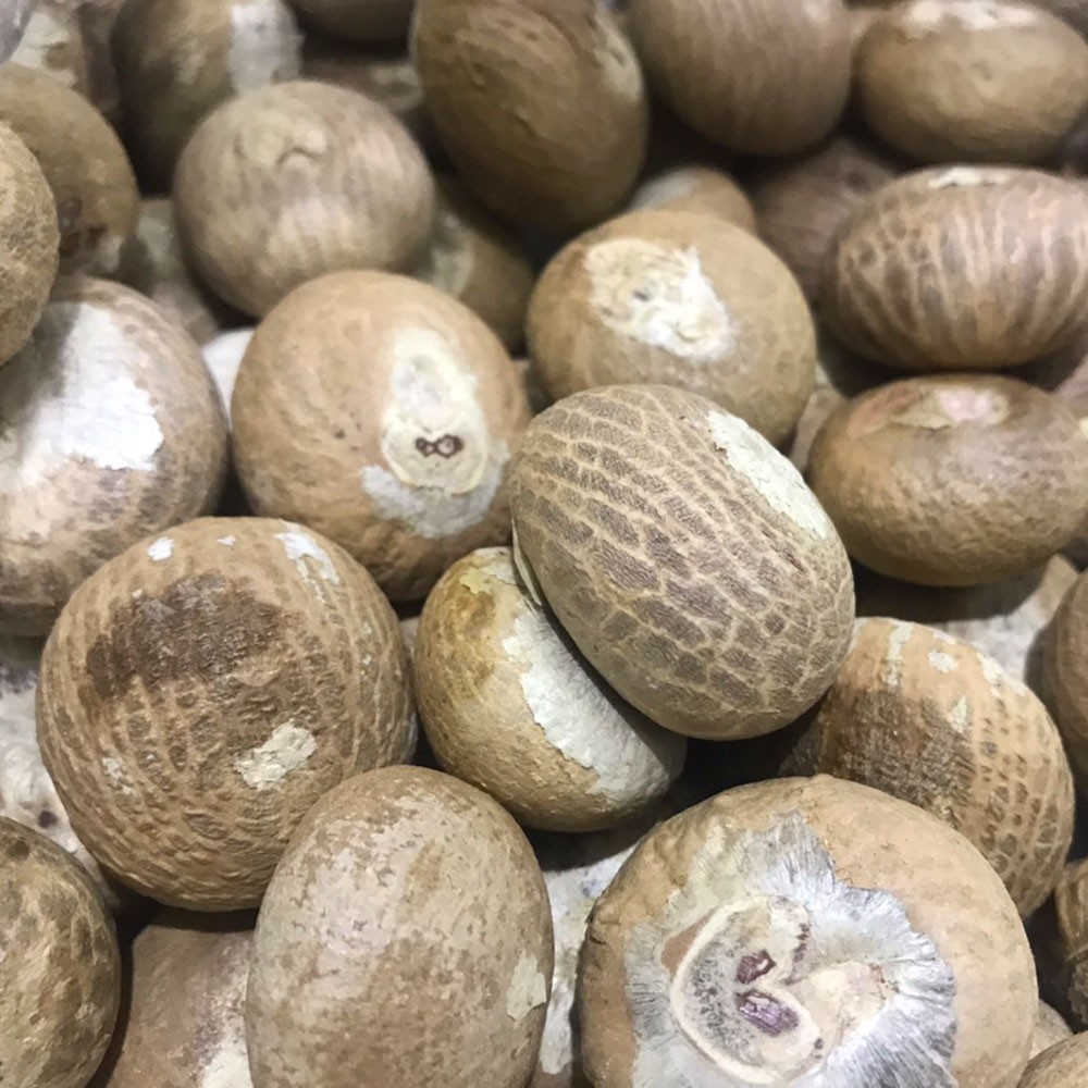 Гайки BETEL
