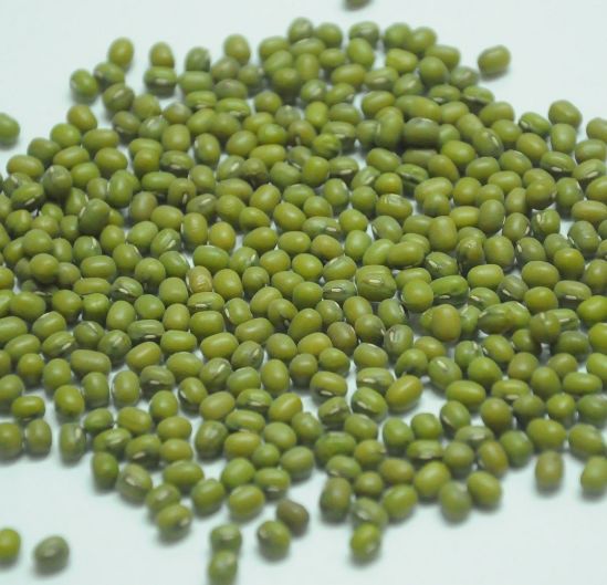 Green mung bean Mung Beans / Mung Dal / Green Beans