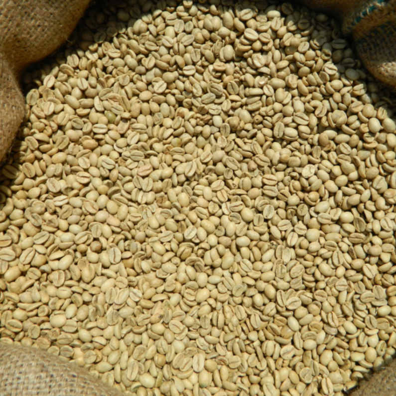 Индийские местные зеленые кофейные зерна Monsooned Malabar AA, новый урожай для экспорта жаровни оптом в мешках, Заводская поставка