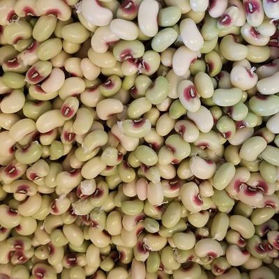 Новый Урожай превосходной натуральной фасоли для продажи/сушеные фасоли оптом