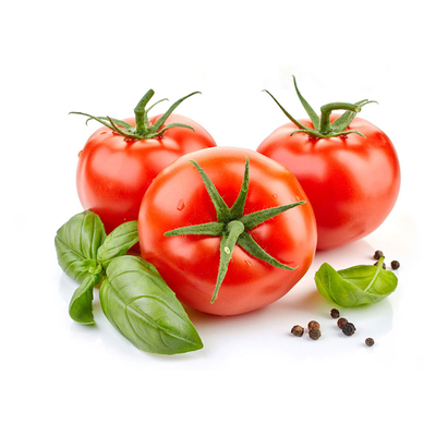 safe and pollution-free brand names fresh red organic tomato