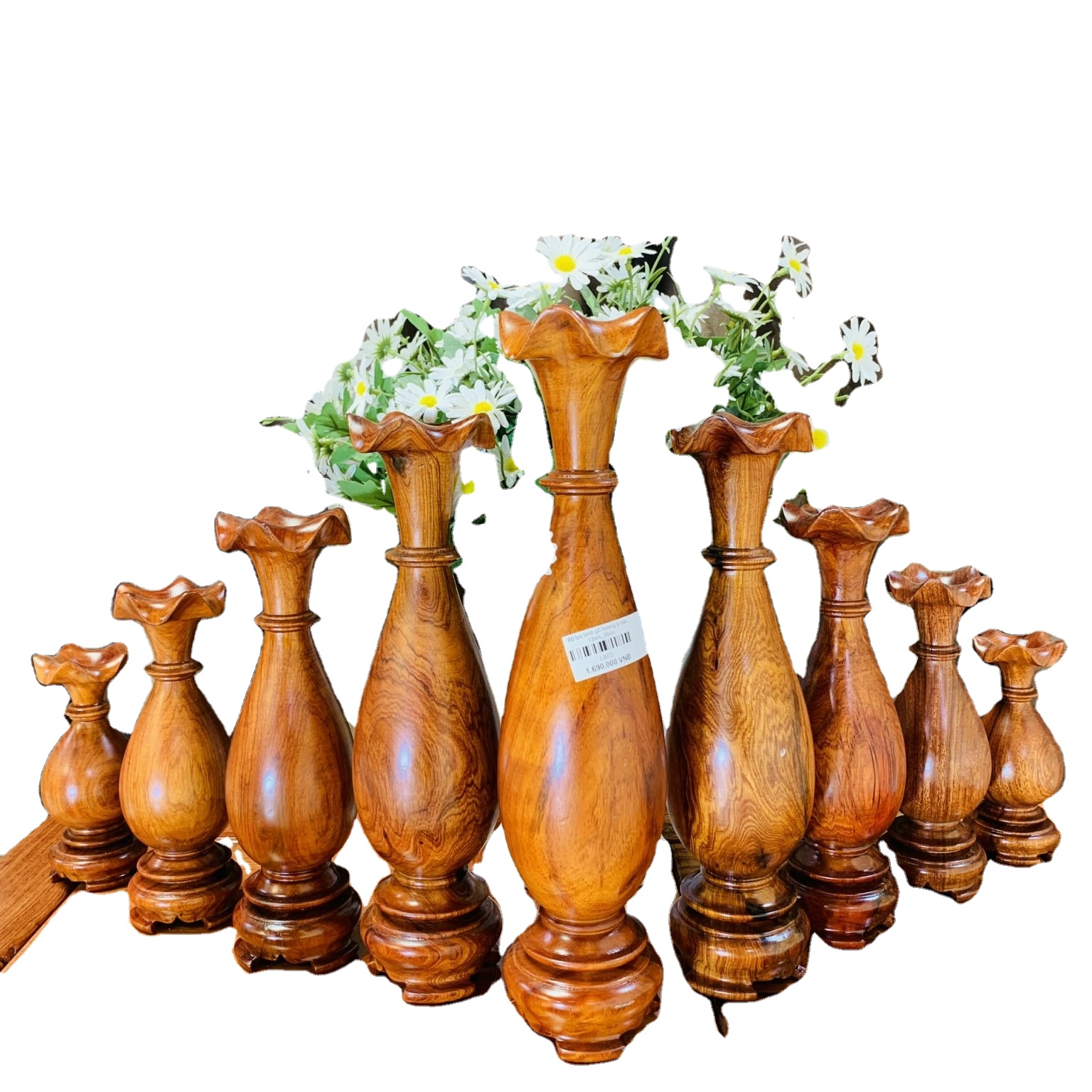 Set of 9 hyacinths (Eastern feng shui water hyacinth)