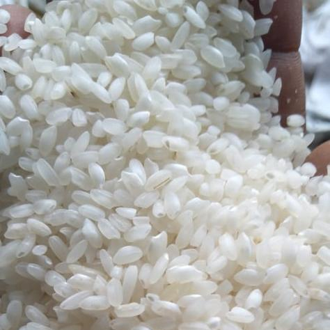 Short Grain Rice 5mm