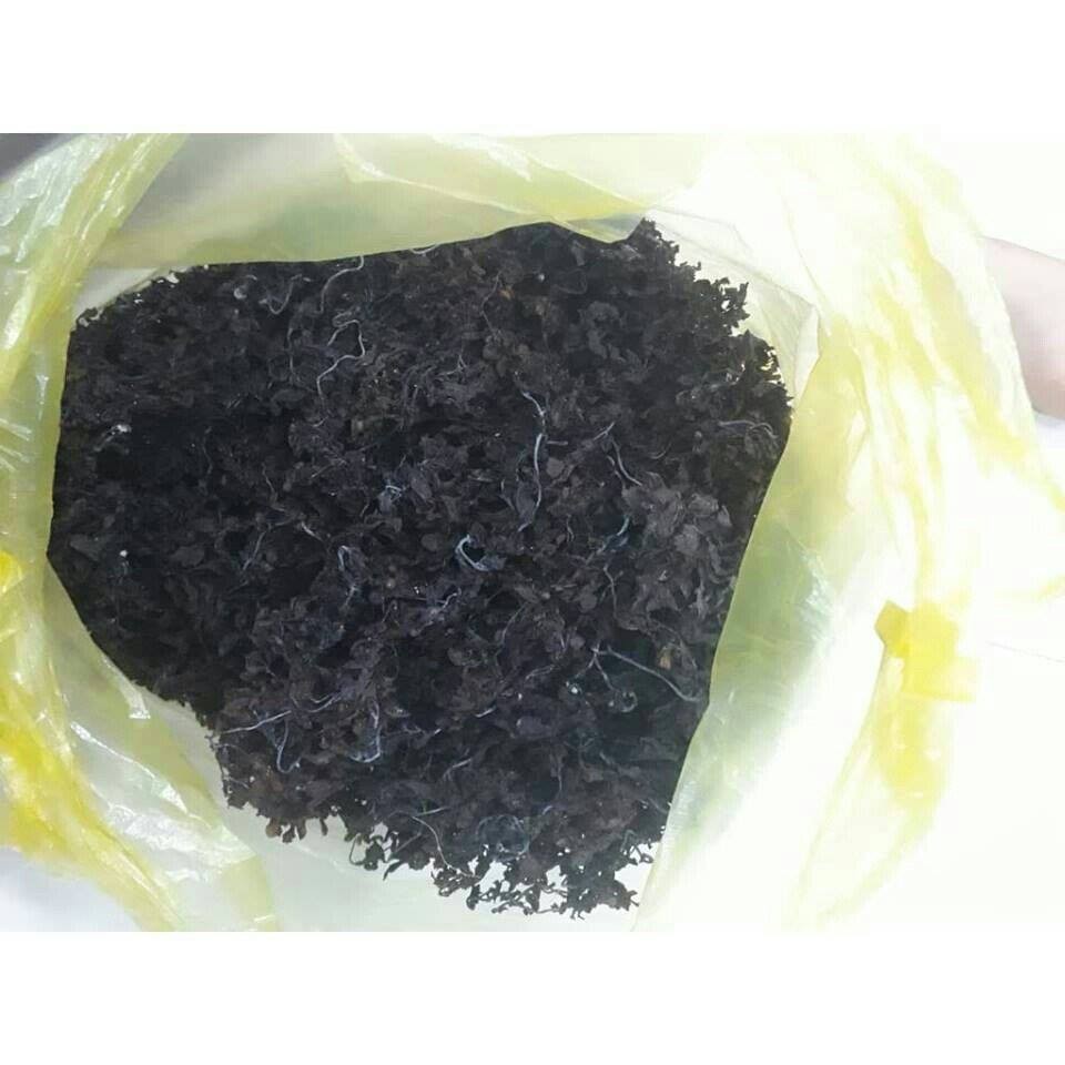 Sargassum корм для животных/водоросли для корма для животных/сушеные водоросли sargassum из Вьетнама