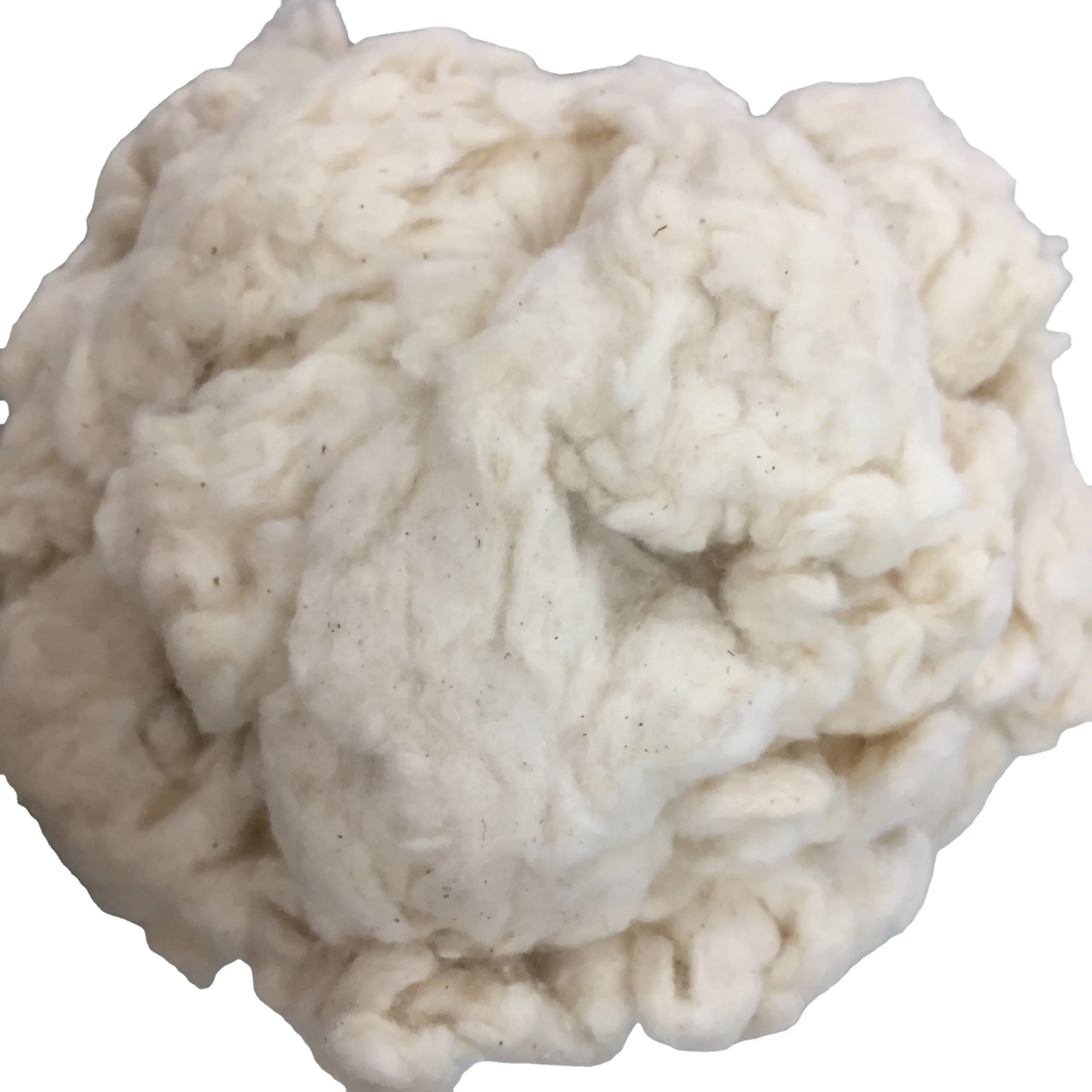 Bleached/unbleached Cotton Comber Noil Natural Eco-friendly Material for Spinning Yarn and Water Absorption - Ms. Mira