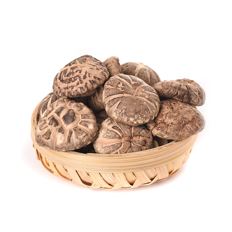 Fresh Mushrooms , Oyster Mushrooms