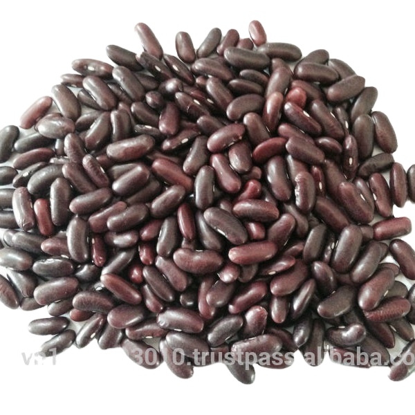 HOT SALE RED KIDNEY BEANS FROM VIETNAM