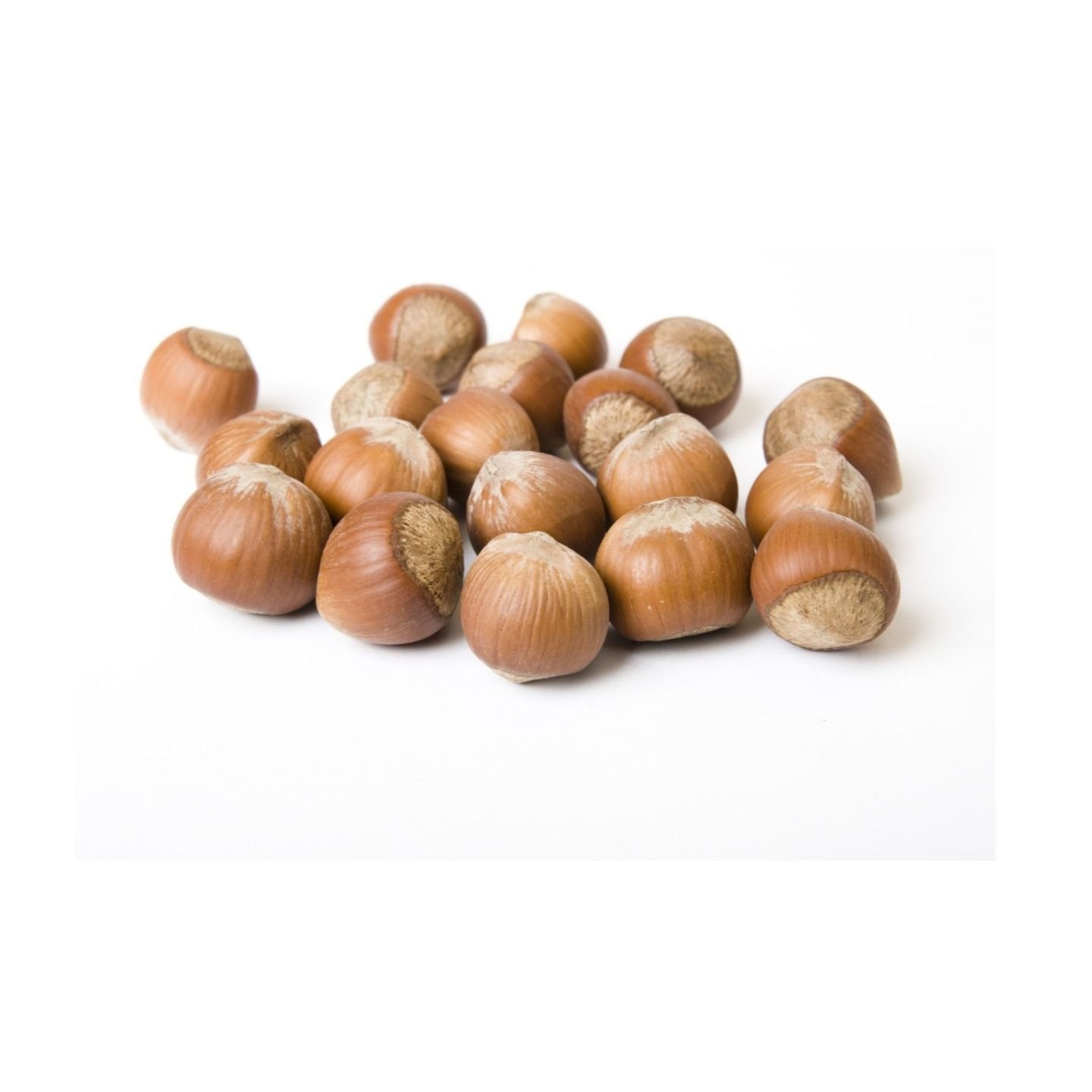 Roasted Hazelnuts Blanched Hazelnuts Organic Dried Hazel Nuts