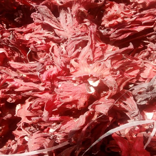 A Grade Natural Dried Flowera Rose Dried Hibiscus Flower Pink