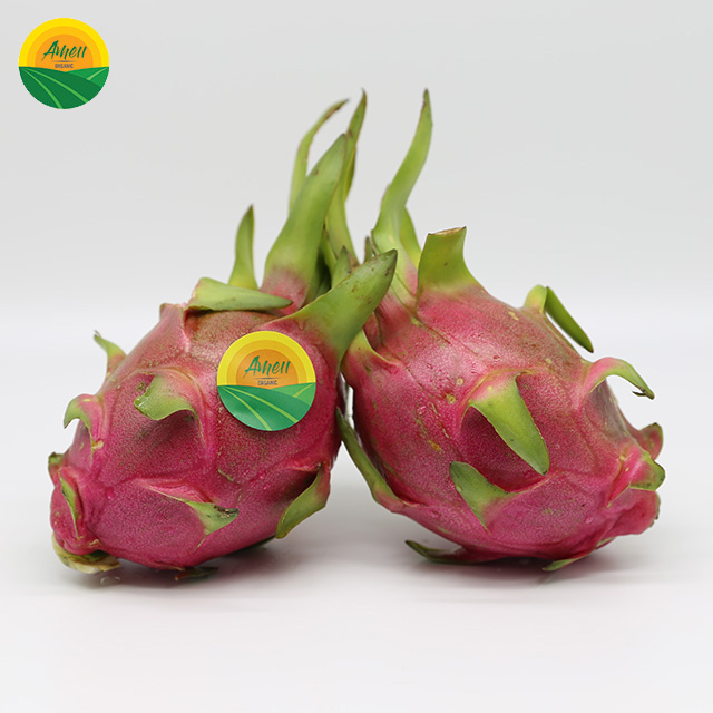 SWEET DRAGON FRUIT WITH BEST PRICE