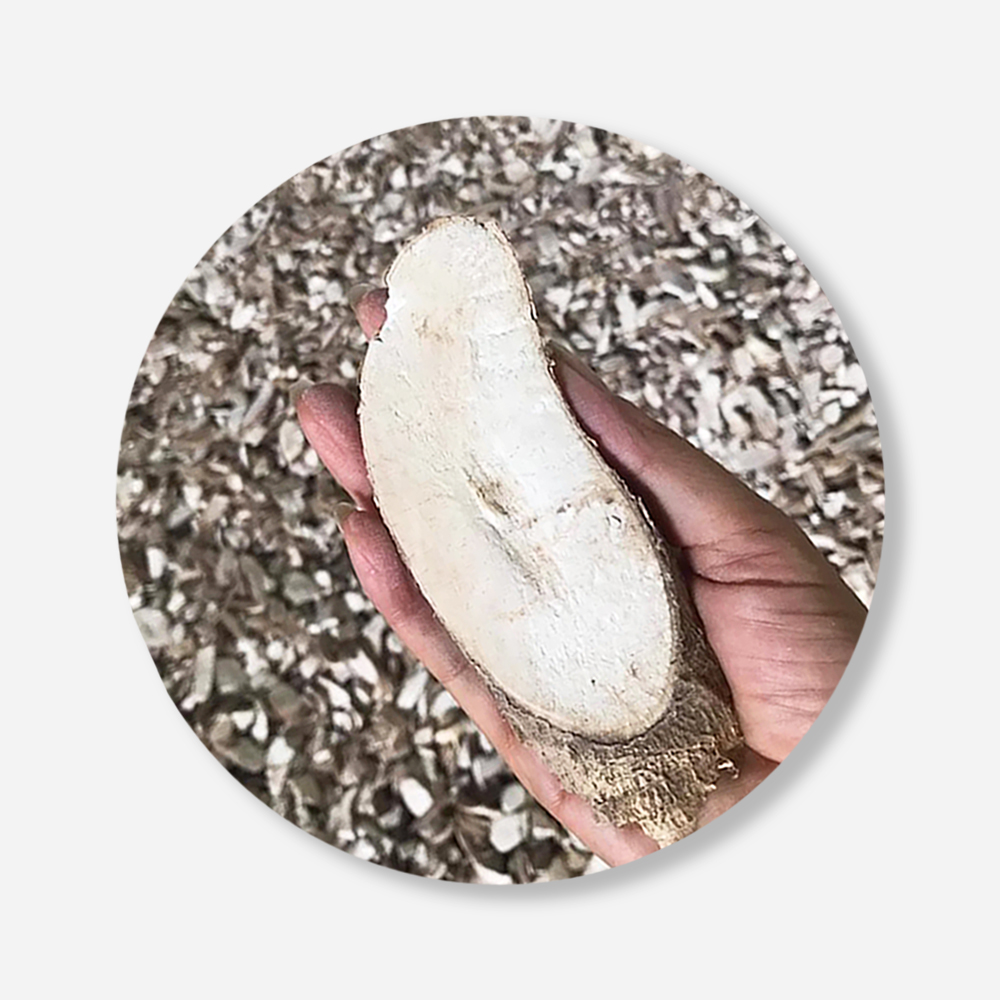 Best Seller Thai Dried Cassava Chips For Food Industry or Making Animal Feed and Ethanol