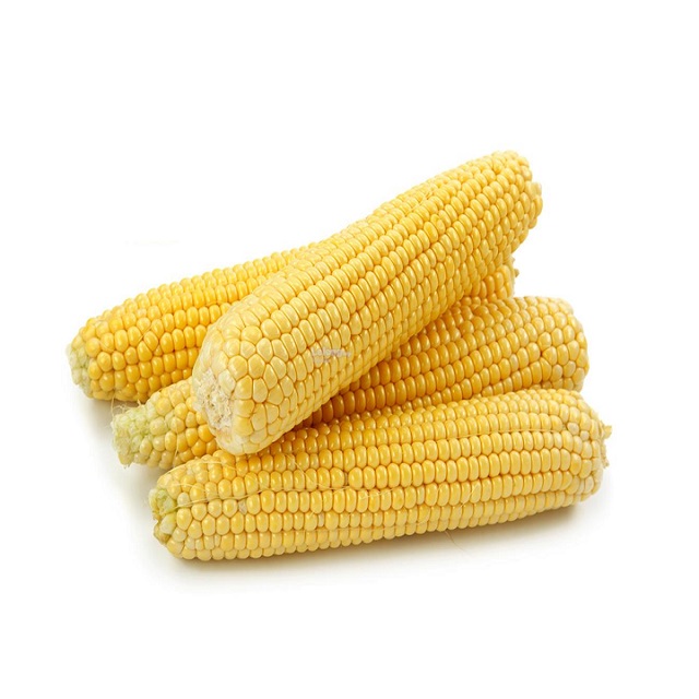 Vietnamese yellow maize at the cheapest price