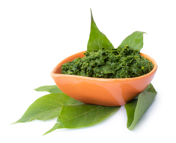 Wholesale Frozen Cassava Leaves Vietnam Supplier/ Ms. Alice ( +84 904 183 651)