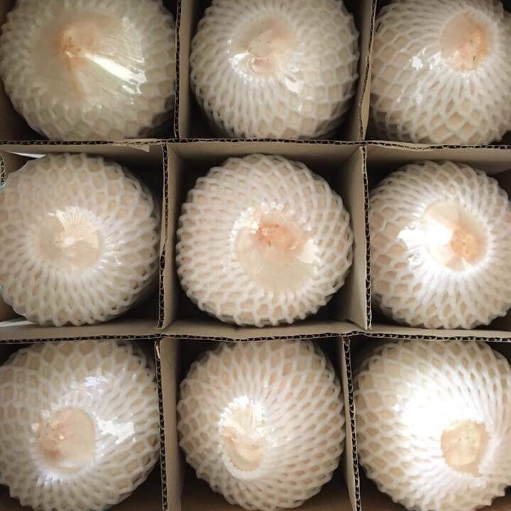 PEEL FRESH COCONUT/ COCONUT JUICE/ COCONUT FRUIT - WHATSAPP: +84796855283