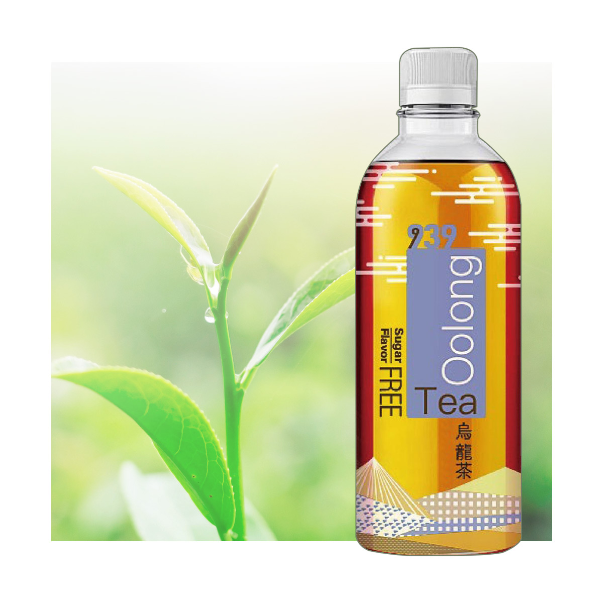 Free Sample Unsweetened Oolong Tea Bottle Golden Oolong Tea 450ml Provide Private Beverage Production Service