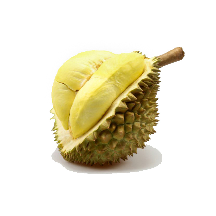 Premium Fresh Monthong King Durian For Sale