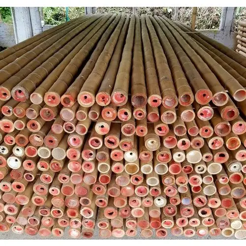 Garden Dried Bamboo Cane Bamboo Stick Bamboo Pole for Plantin/Bamboo Canes/ Bamboo Pole 99GD
