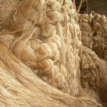Cutting Jute Fiber