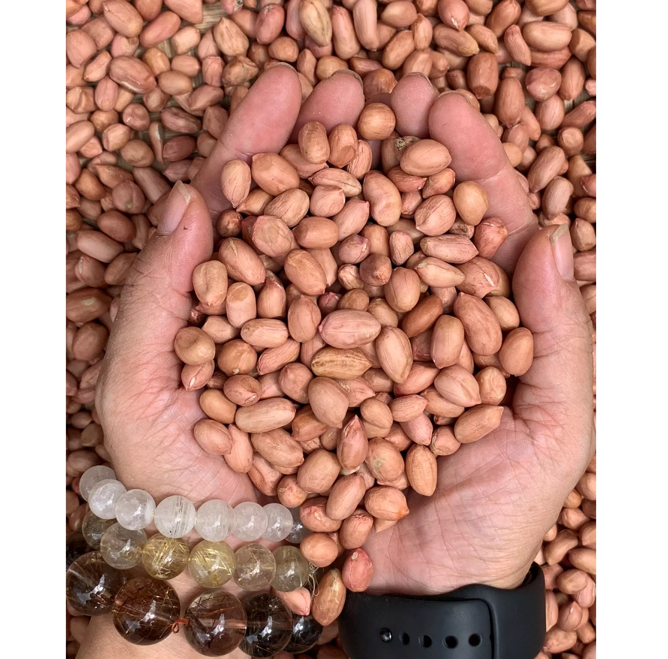 Арахис Orsafarm, 5 кг/упаковка, оптовая продажа, заводская цена, богатый органический протеин, арахис, арахис из Вьетнама