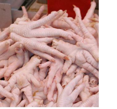 Chicken Feet / Frozen Chicken Paws Brazil / Fresh chicken wings and foot