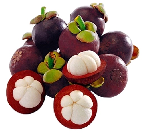 HIGH QUALITY MANGOSTEEN