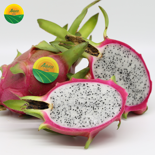 VIET NAM FRESH DRAGON FRUIT WITH HIGH QUALITY