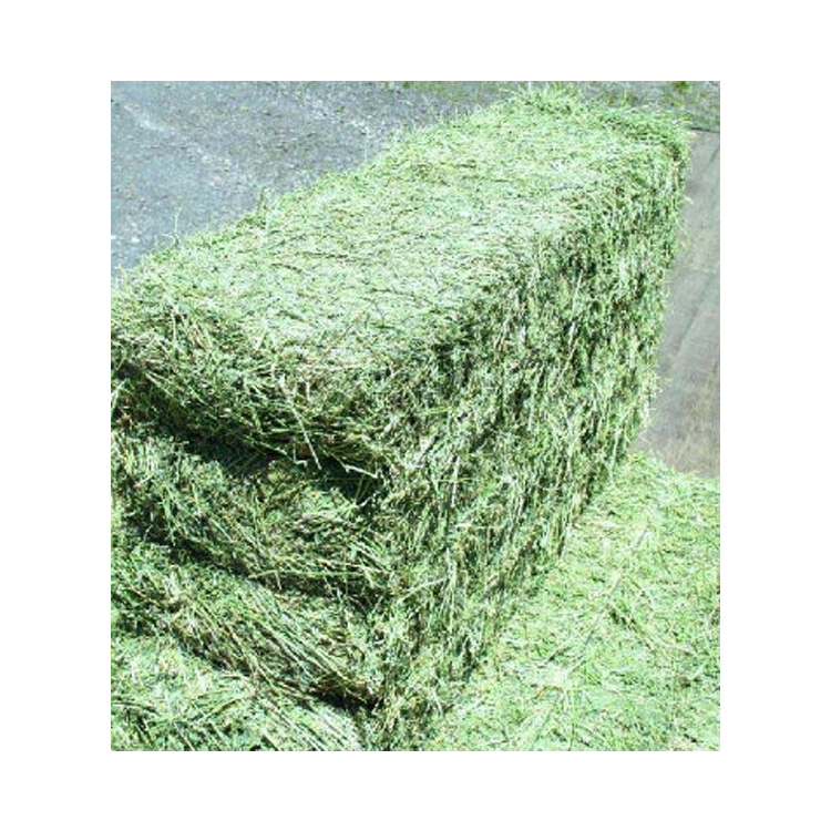 Top Quality Wholesale Alfalfa Hay Bales for Animal Feeding