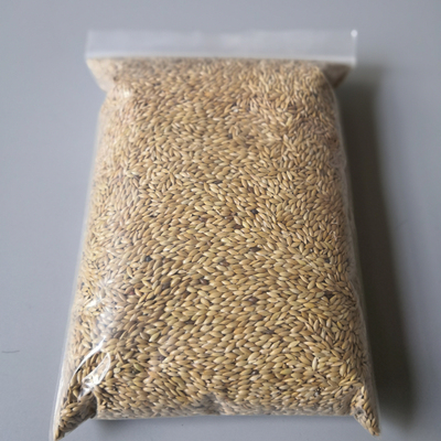 high quality bulk Canary seed for bird seed