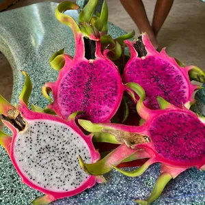 DRAGON FRUIT FROM VIETNAM WITH HOT SALES// ALLY 0084912438547