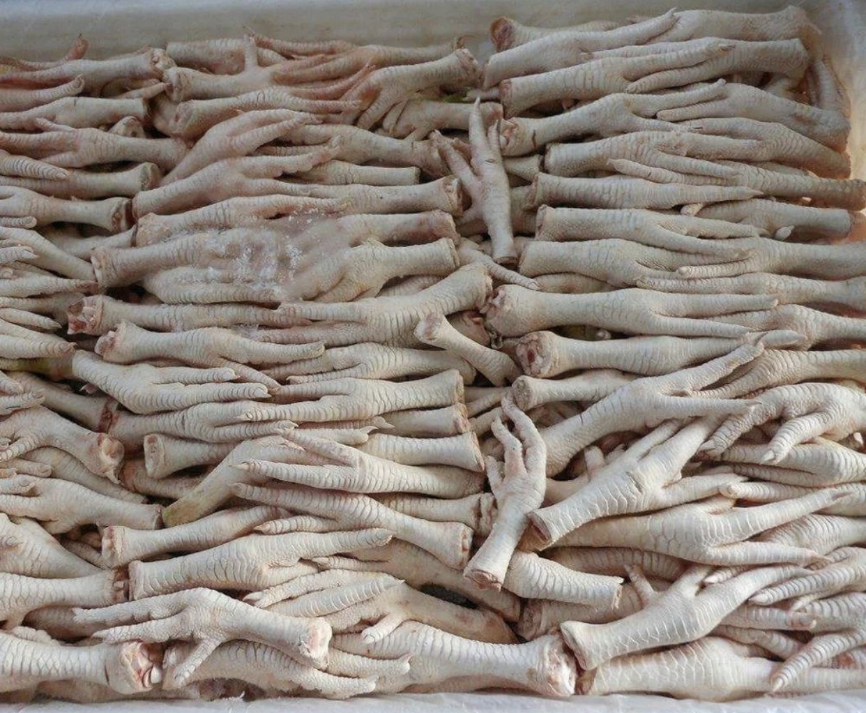 Замороженные ножки цыплят