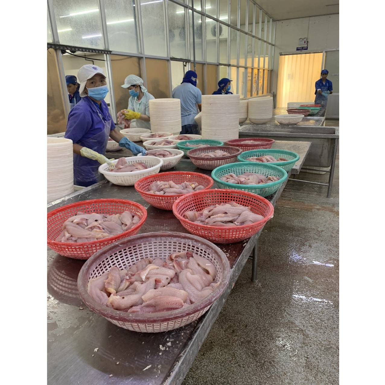 Замороженный Вьетнам Pangasius Fillet Basa Fillet (Упаковка: вакуумный пакет)