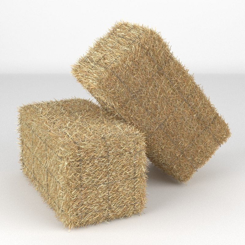 Premium Alfalfa Hay, Alfalfa hay with high protein for animal feeding