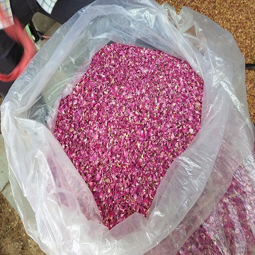 The place to be - Dried Rose Petals