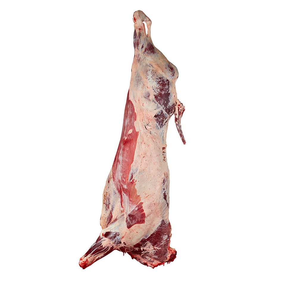 100% Clean Frozen Beef Meat Beef Carcass