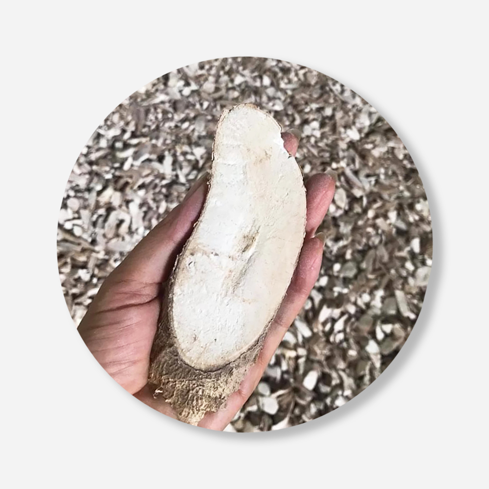 High Grade Dried Cassava Chips For Food Industry or Making Animal Feed and Ethanol