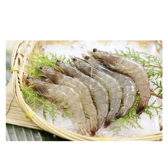 Vietnam Seafood Frozen Vannamei Shrimp HOSO with High Quality