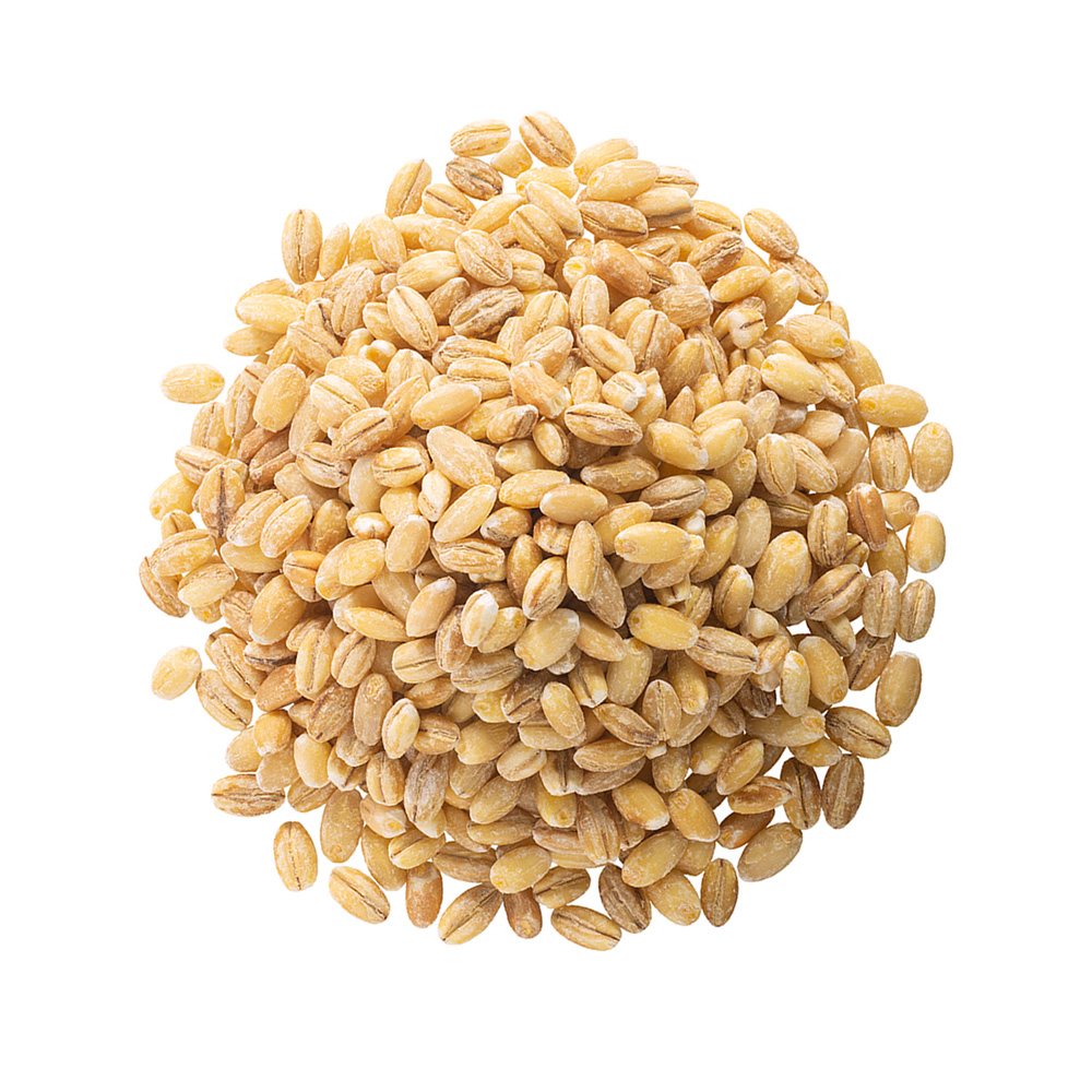 Quality Barley online best you can get ever