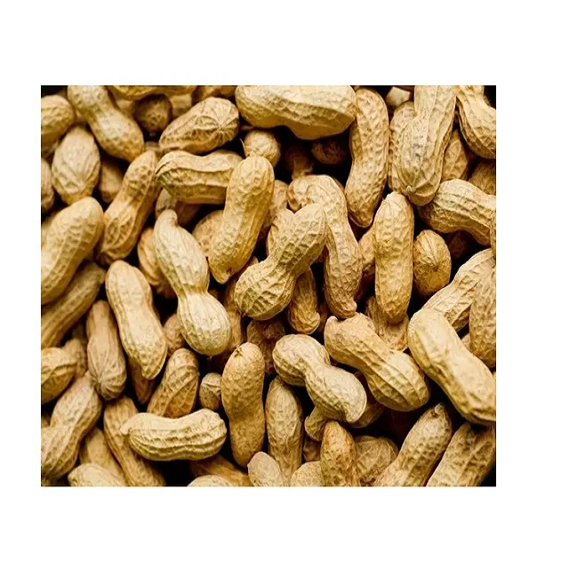 Good Quality Raw Peanuts,  Roasted, and  Raw Ground nuts from Vietnam with best price