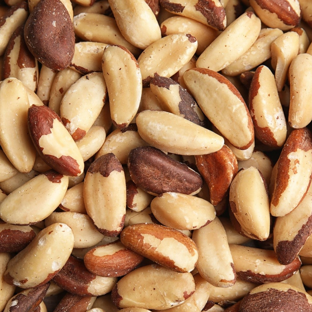 HOT SALE !!!!! Brazil Nuts WHOLESALE