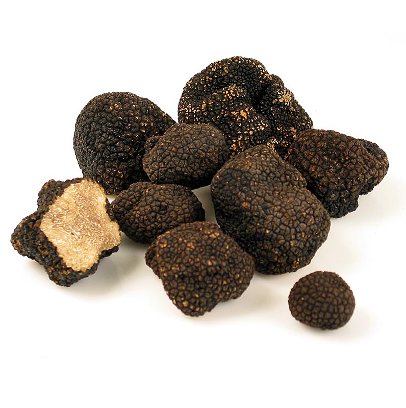 Dried Truffle Wholesle.Fresh Truffles/Wild Truffles.Perigord Truffles/Truffle Oil Export