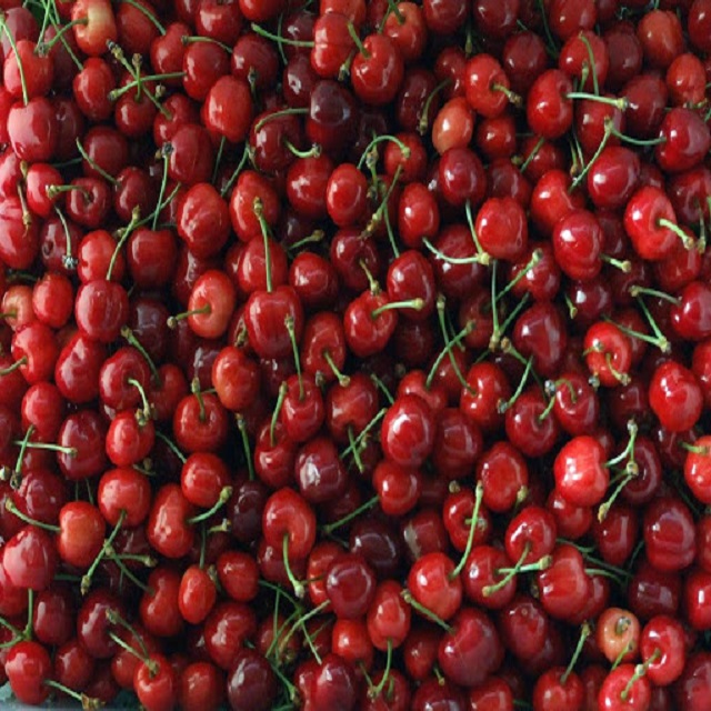 Wholesale cherry fresh with great quality