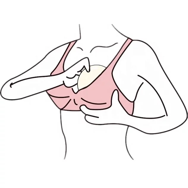 Время everystep 6 шт. по 4-м временам года washsable прокдадка груди breastpads лактационный вкладыш