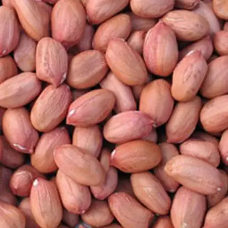 peanuts bulk wholesale raw red skin peanut kernel with factory price