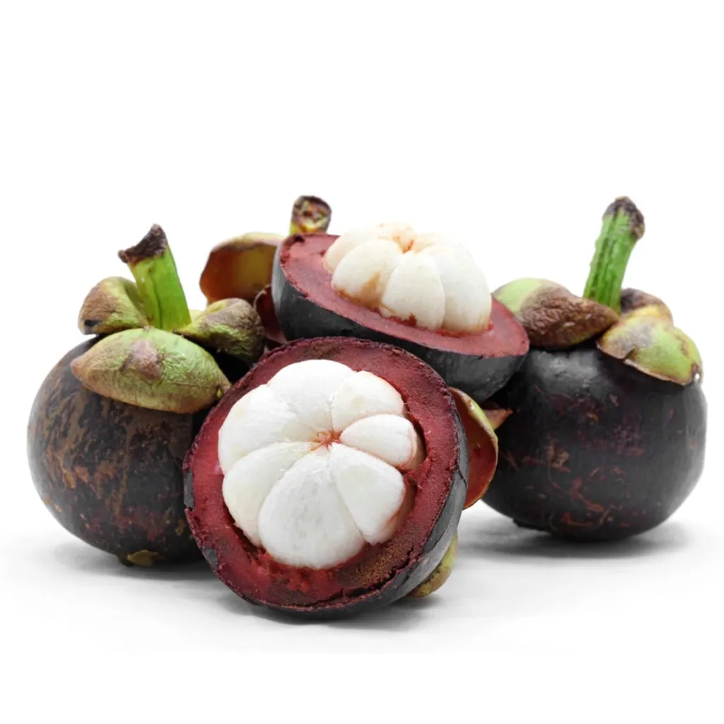 Fresh Fruit with interest price - Mangosteen Fruit Big size