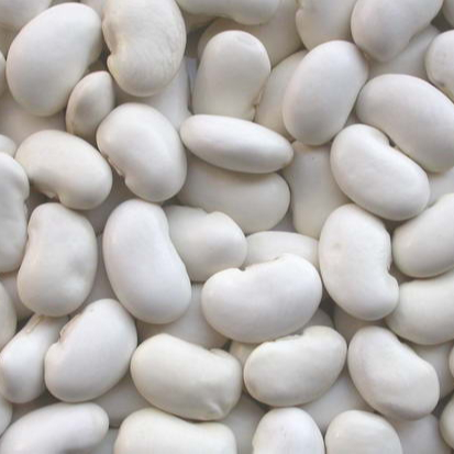 White Beans