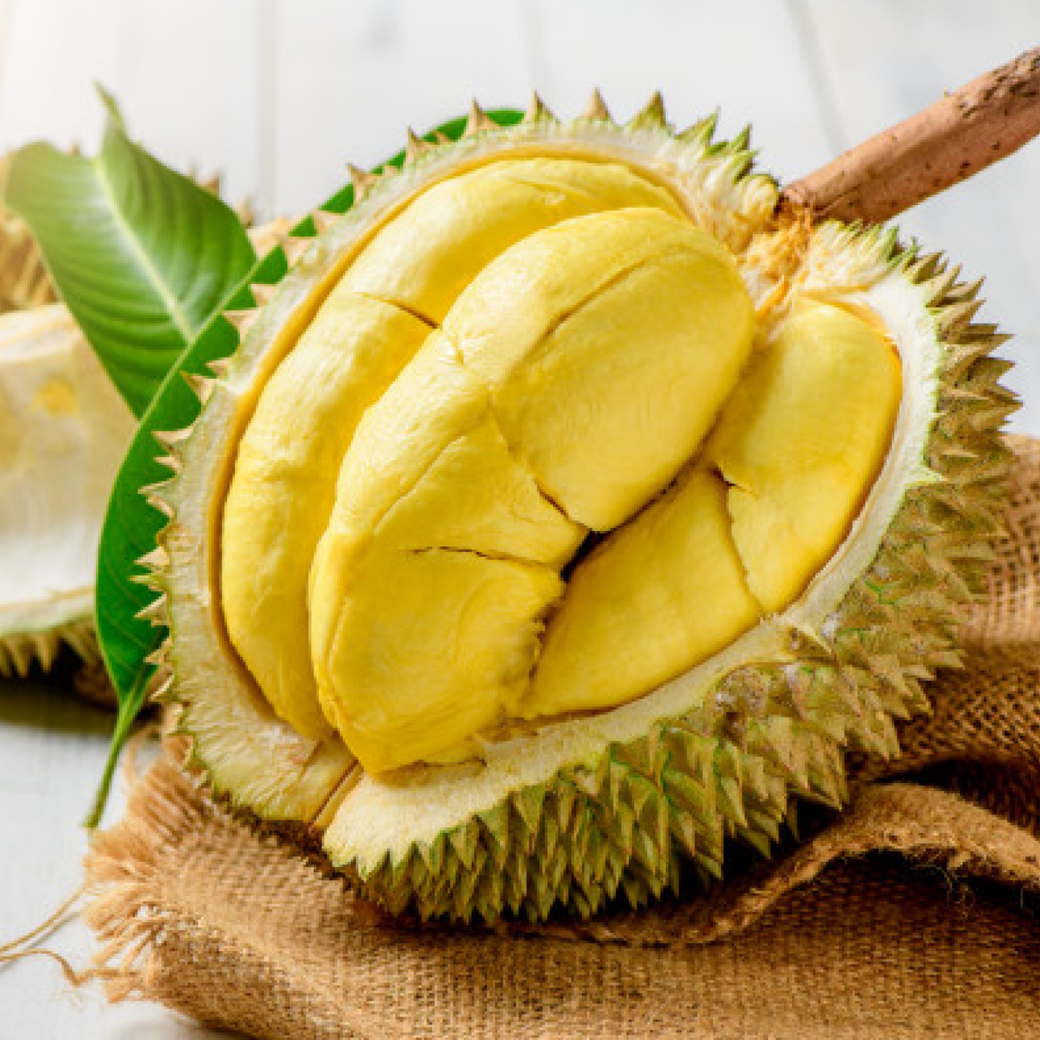 Durian Fresh Fruit Variety Size